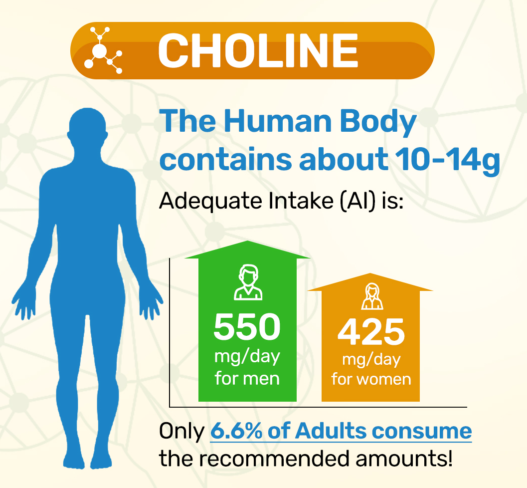 Real Electrolytes FOCUS+ Pineapple 274g POWDER