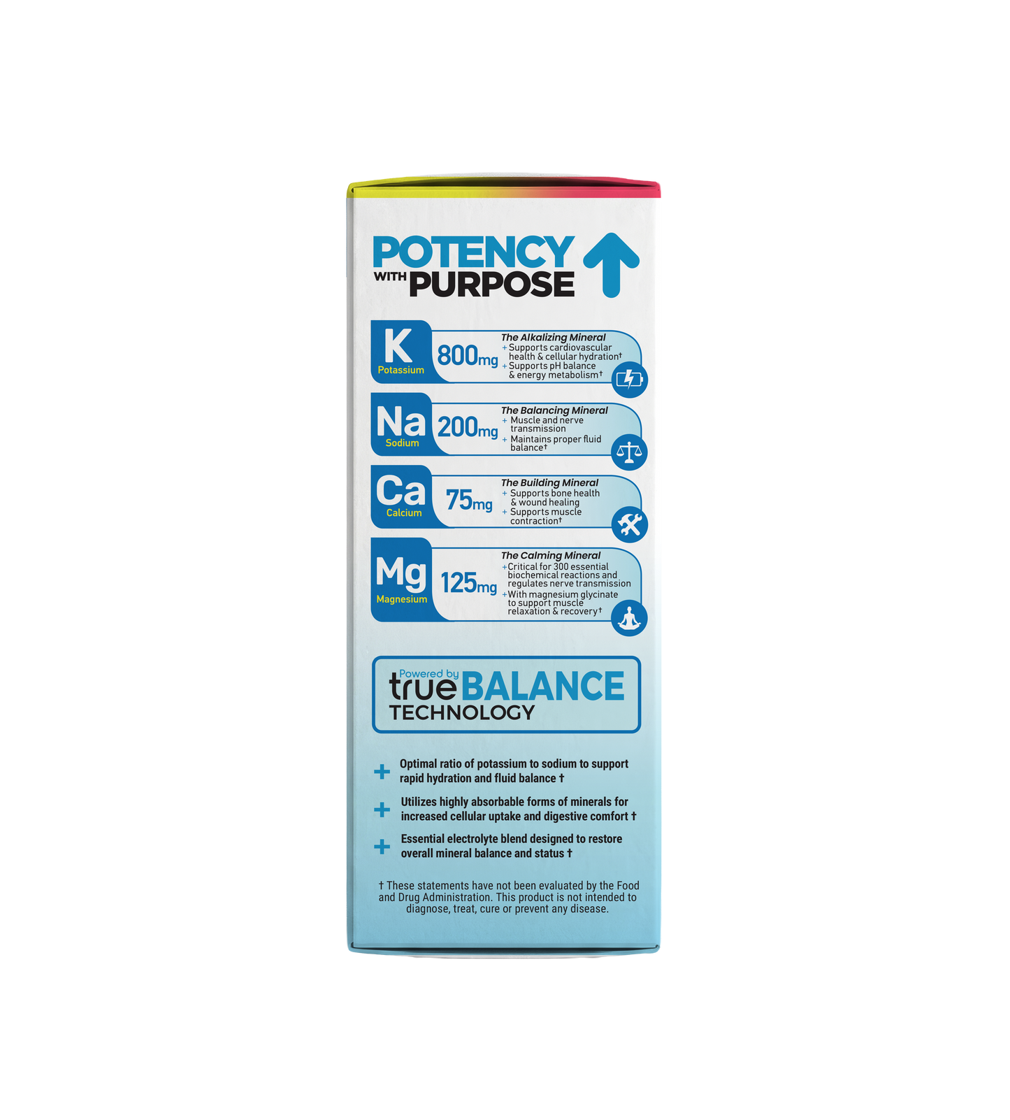 Real Electrolytes HYDRATION+ Variety 15ct Packets