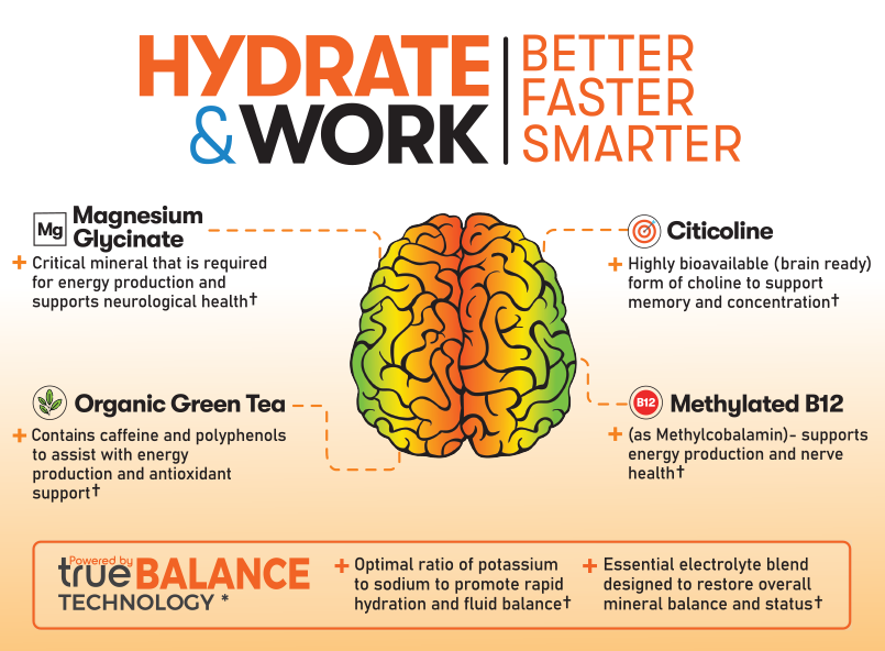 Real Electrolytes FOCUS+ Orange 274g POWDER